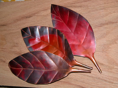 Leaves